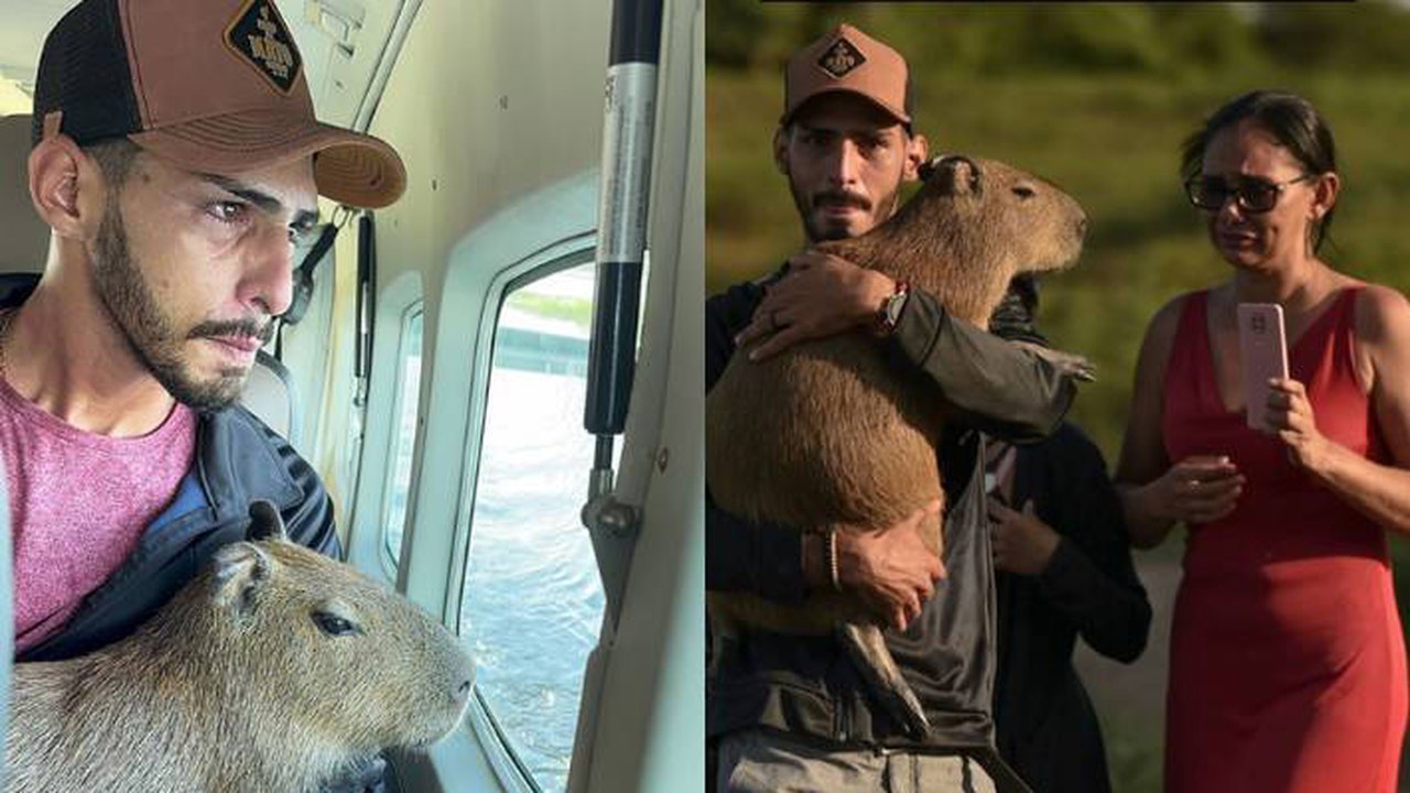 Influenciador consegue guarda provisória da Capivara Filó; entenda disputa