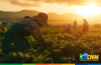 Agricultores familiares recebem recurso do Garantia-Safra a partir de março