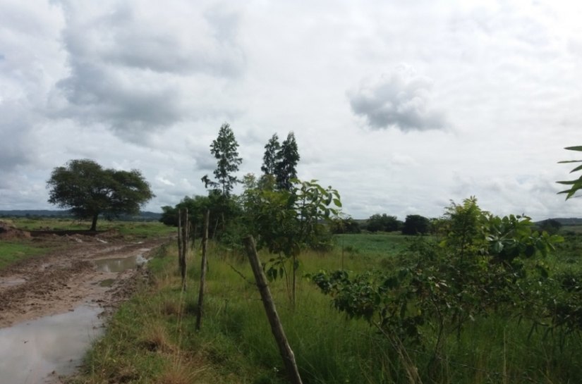 Satuba: técnicos do IMA monitoram recuperação de áreas degradadas