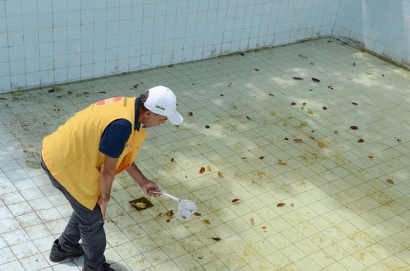 Aplicativo registra mais de mil denúncias de focos do Aedes aegypti