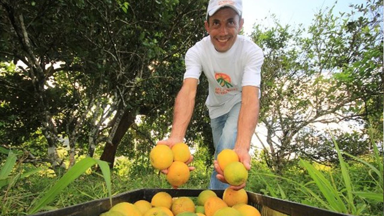 Estrela de Alagoas: Seminário de fruticultura capacita produtores