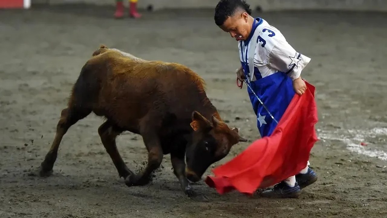 'Toureiros anões' se apresentam na França após Espanha proibir espetáculos de 'escárnio e zombaria'