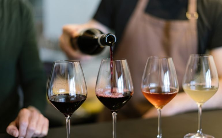 Audiência na Câmara discute os benefícios do vinho para a saúde