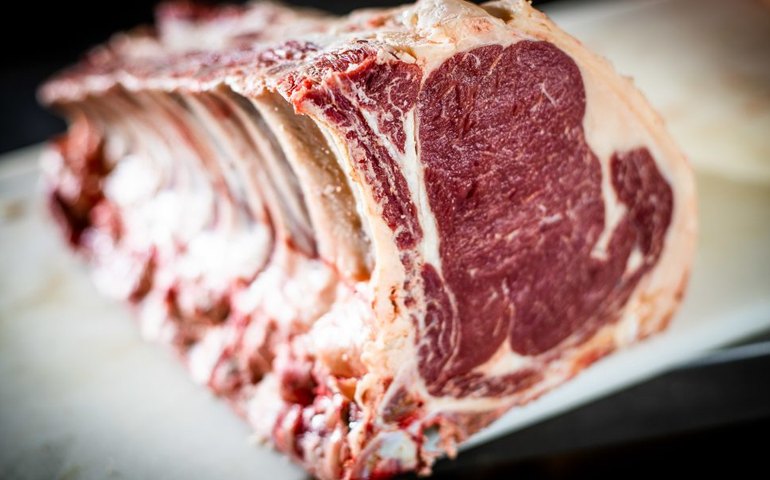 Exportação total de carne bovina cresce 10% em novembro ante novembro de 2019