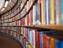 6 livros que dialogam com os Direitos Humanos