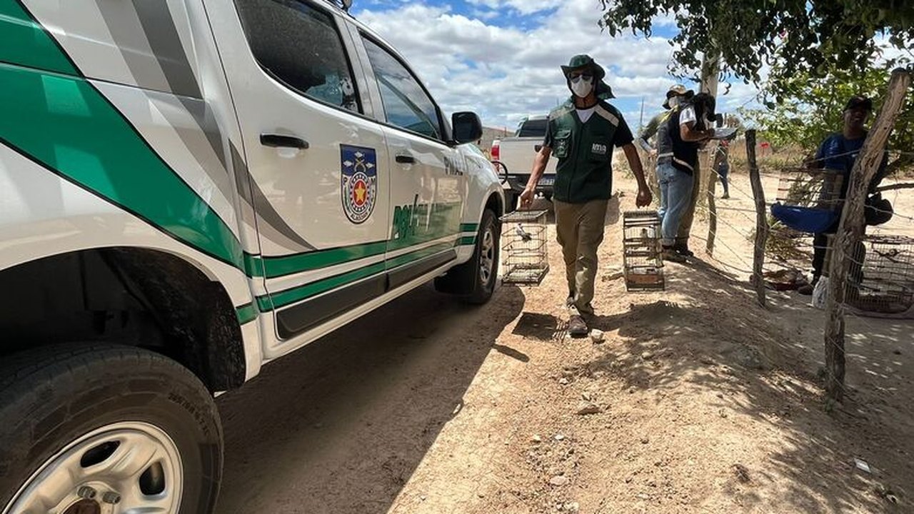 FPI resgata 48 animais em situação de cativeiro irregular