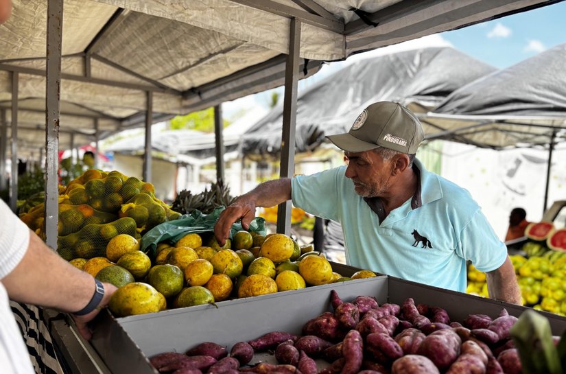 Rota do Circuito Regional de Feiras da Agricultura Familiar vai destacar potencial produtivo e turístico