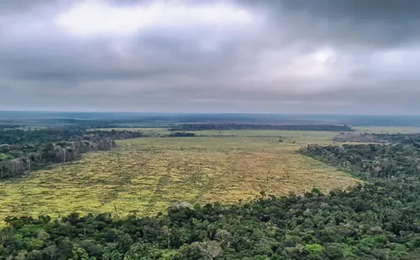 Como evitar que a Amazônia entre em colapso em 2050