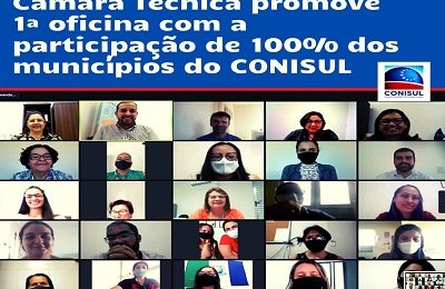 Câmara Técnica promove 1ª oficina com a participação de 100% dos municípios do CONISUL