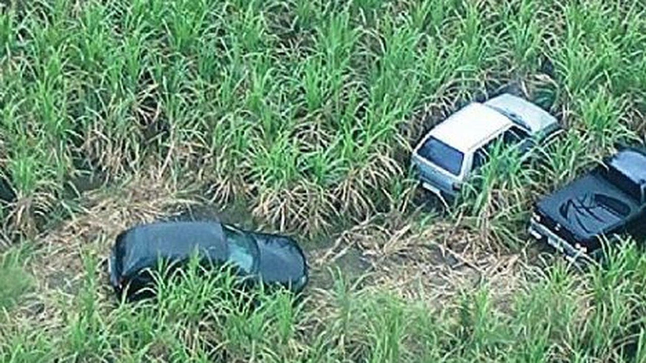 Polícia Militar encontra ‘cemitério’ de carros em Pilar