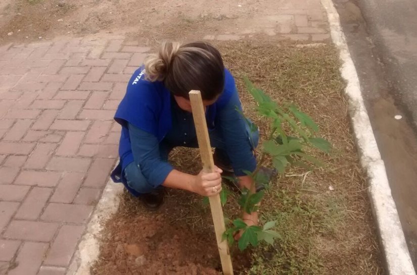 Secretaria de Meio Ambiente vai plantar 500 mudas para arborizar Marechal