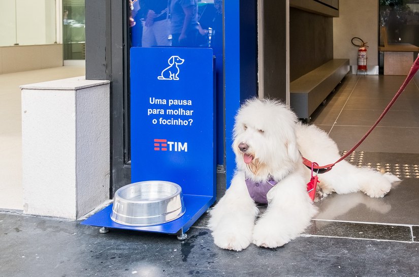 TIM reabre loja em Natal no conceito digital  e pet friendly