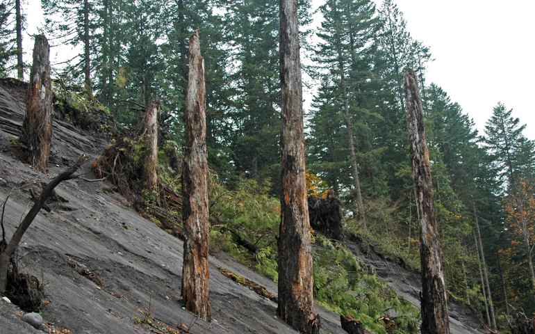 Cientistas descobrem 'testemunhas mudas' de eventos que ocorreram há 38 milhões de anos (FOTOS)