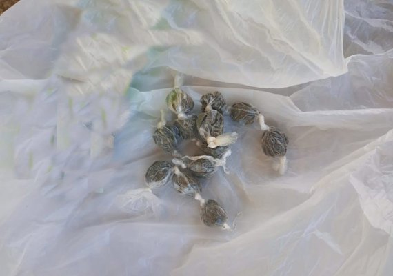 Mulheres são flagradas com bombinhas de maconha em visita íntima