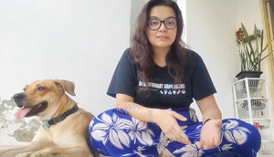 campanha de adoção / Foto: Reprodução: Foto/ Redes Sociais