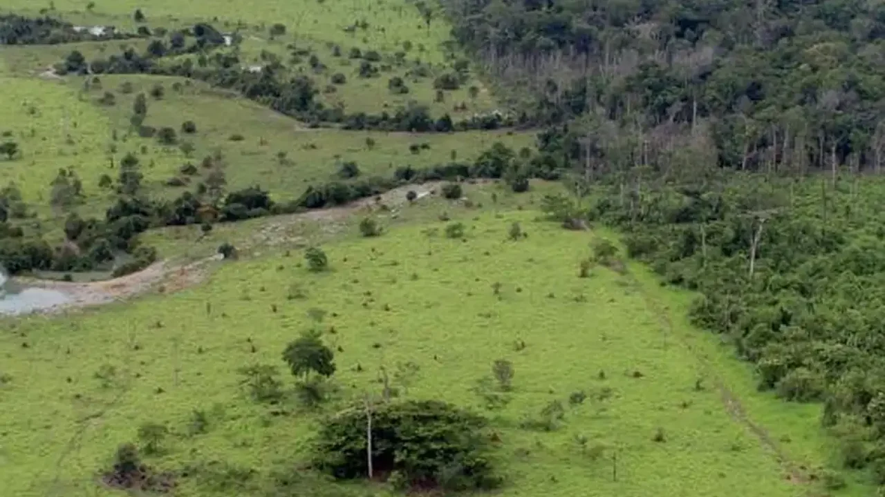 Governo publica medida provisória que autoriza renegociação das dívidas rurais