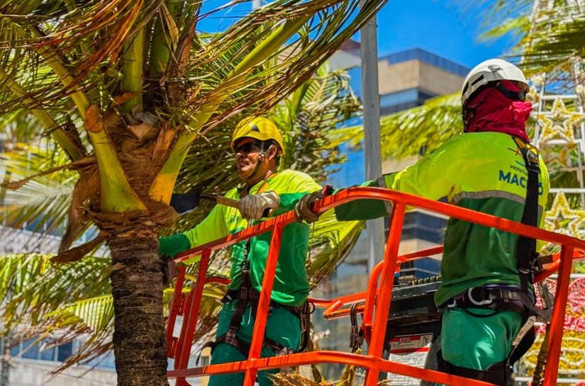 Alurb intensifica limpeza e poda de coqueiros na orla marítima