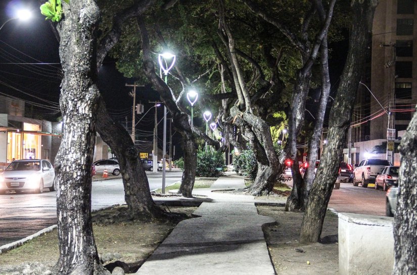 Prefeitura de Maceió realiza poda em árvores no bairro da Jatiúca