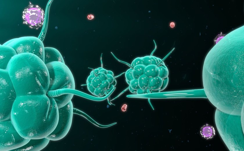 Avanço na cura do câncer: laboratório russo cria 'anticorpos mergulhadores'
