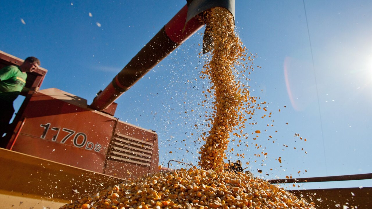 Análise: na guerra tarifária, Brasil pode saciar fome da China por soja e vários outros produtos