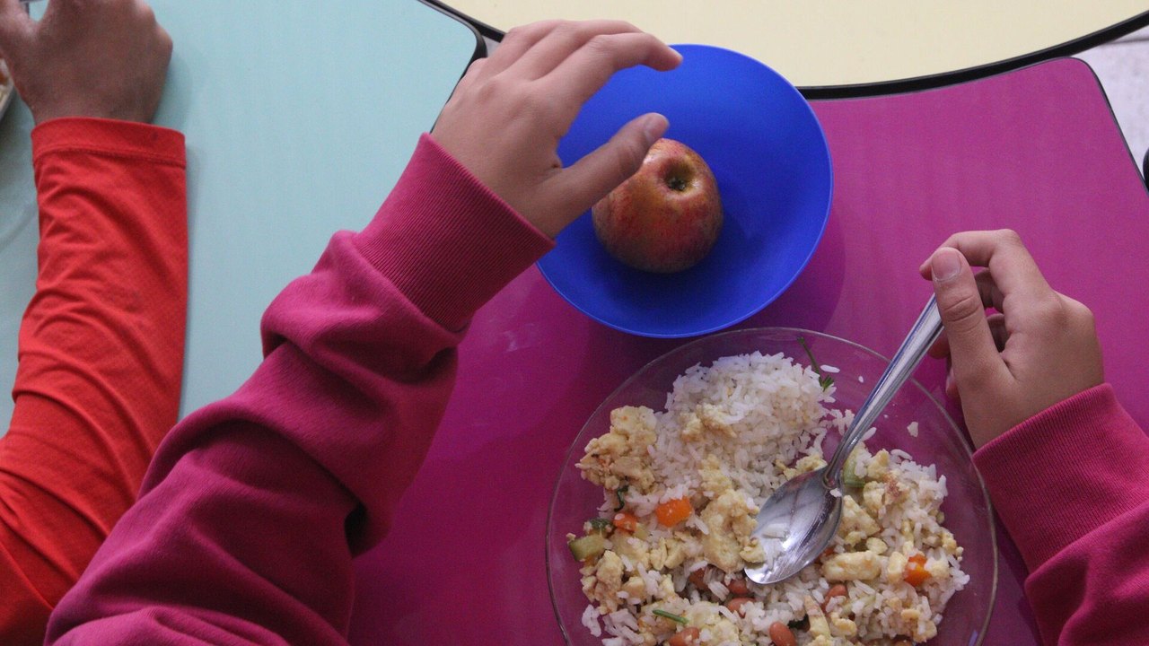 'Do Sul para o Sul': programa de merenda escolar brasileiro vira exemplo para o planeta