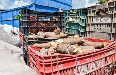 Programa de Aquisição de Alimentos será lançado na Pindorama, em Coruripe, na próxima sexta (12)