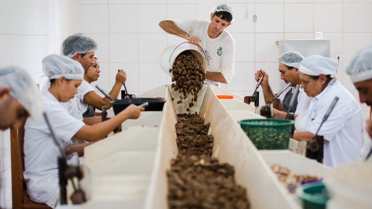 Consulta sobre bens sustentáveis no acordo Mercosul–UE termina na quarta-feira
