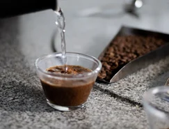 Laboratório de Degustação e Classificação de Café da Uesb (1).jpg 