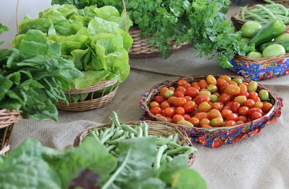 ALIMENTOS ASN