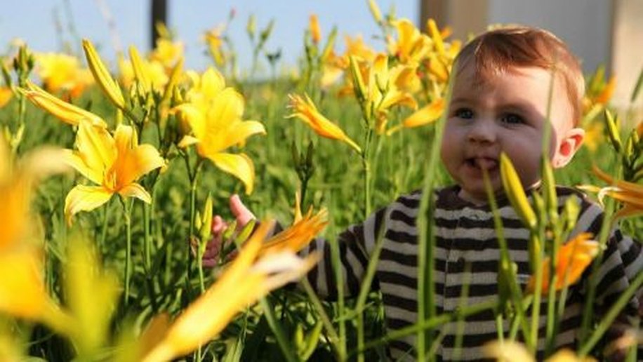 Fabio Assunção divulga foto da filha com seis meses