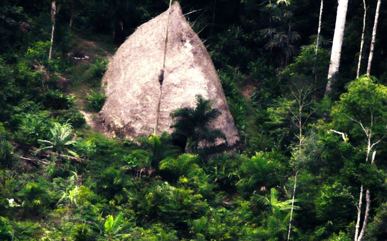 Indígena de tribo isolada faz contato inédito no Amazonas, informa Funai
