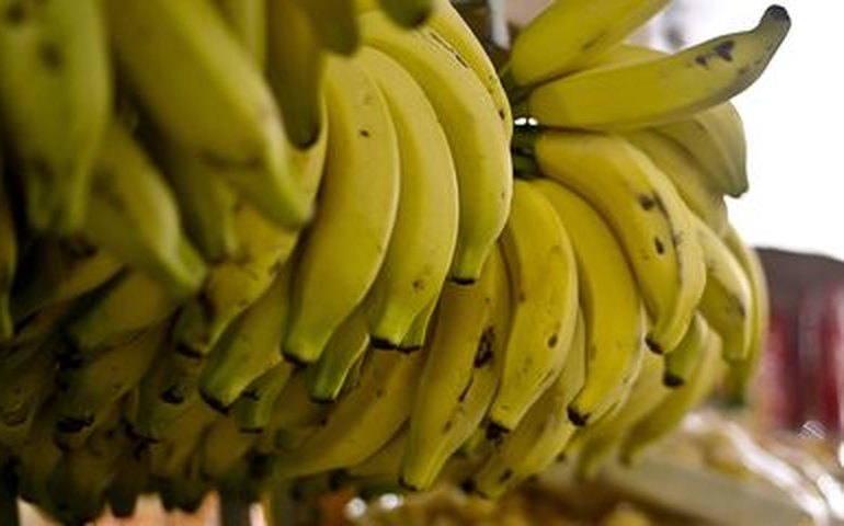 Funcionária da Comlrb é presa suspeita de matar namorado com vitamina de banana