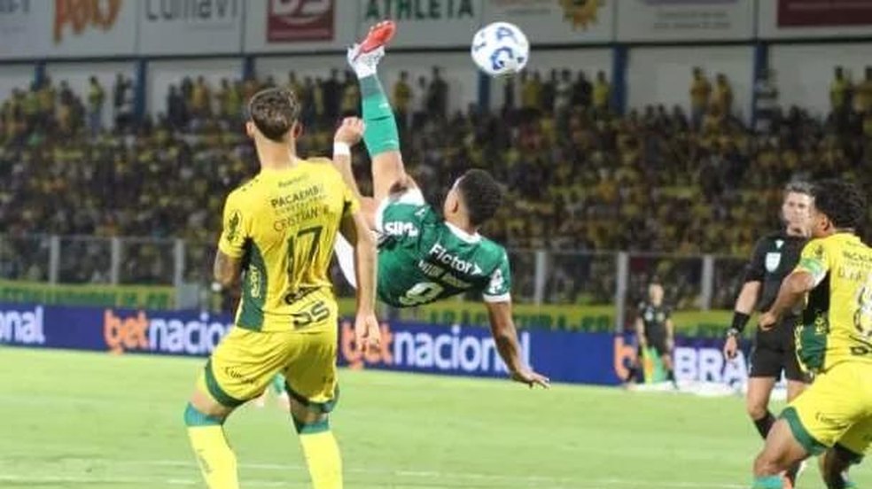 Mirassol vence o Palmeiras no dia do centenário e coloca fogo no Brasileirão