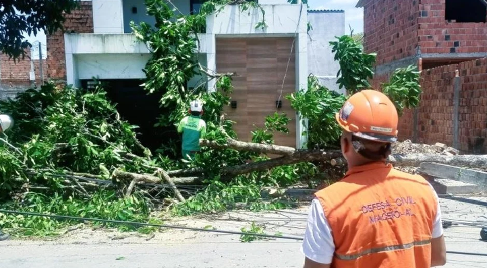Captura de tela 2026-10-19 134213