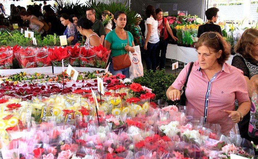 7º Festival das Flores de Holambra é atração em Maceió