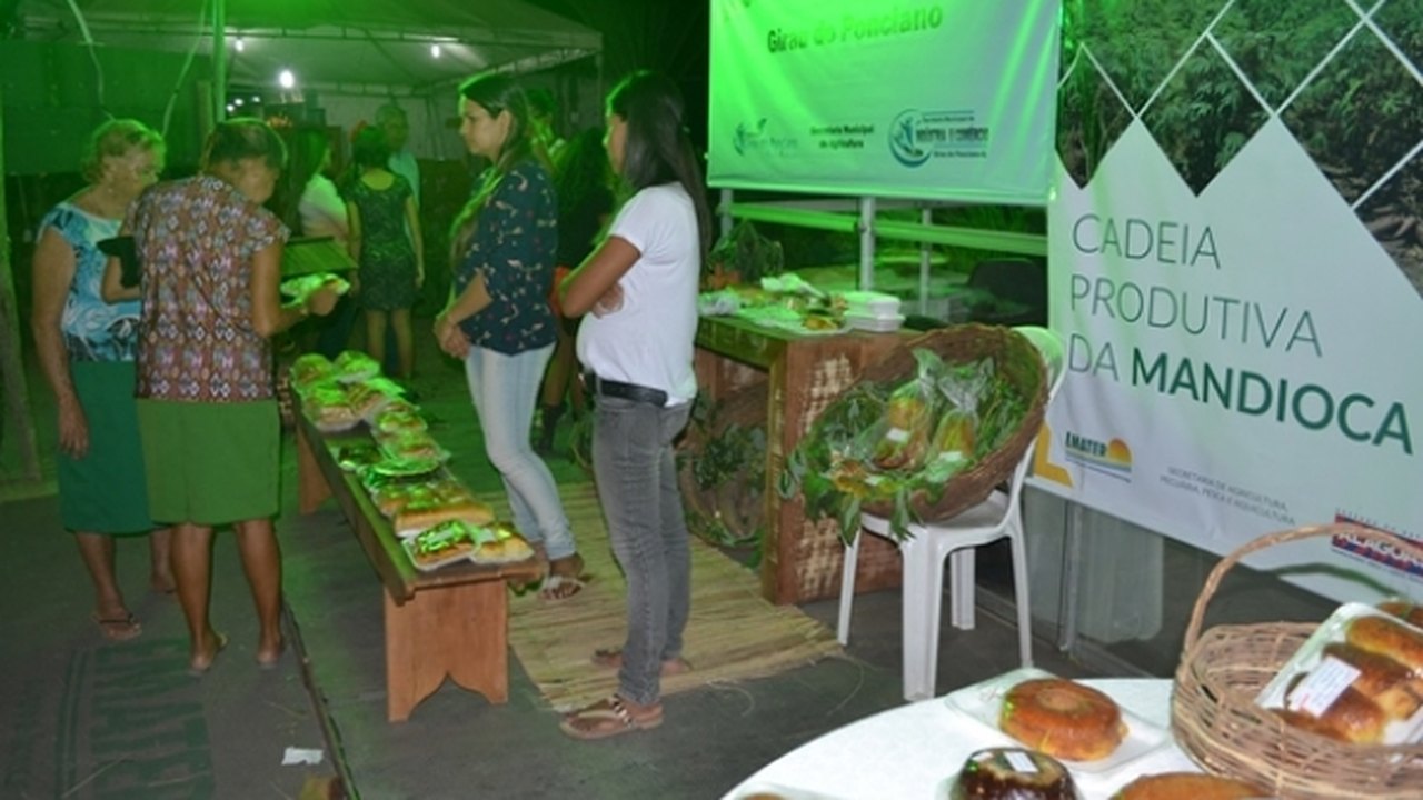 Diretor-presidente da Emater faz balanço da participação do órgão em exposição agropecuária