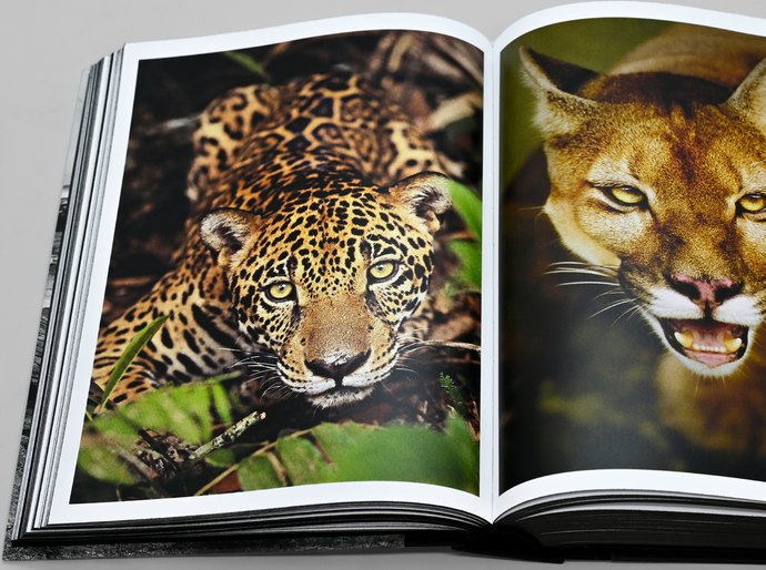 Araquém Alcântara, um dos pioneiros da fotografia de meio ambiente no Brasil, lança obra-manifesto, uma crônica visual da beleza e do horror