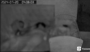 VÍDEO: Dupla criminosa invade casa de família adormecida e realiza série de furtos.jpg