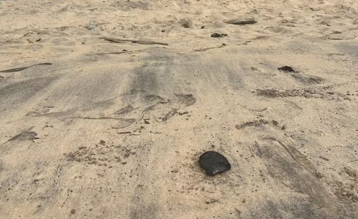 Manchas encontradas na praia