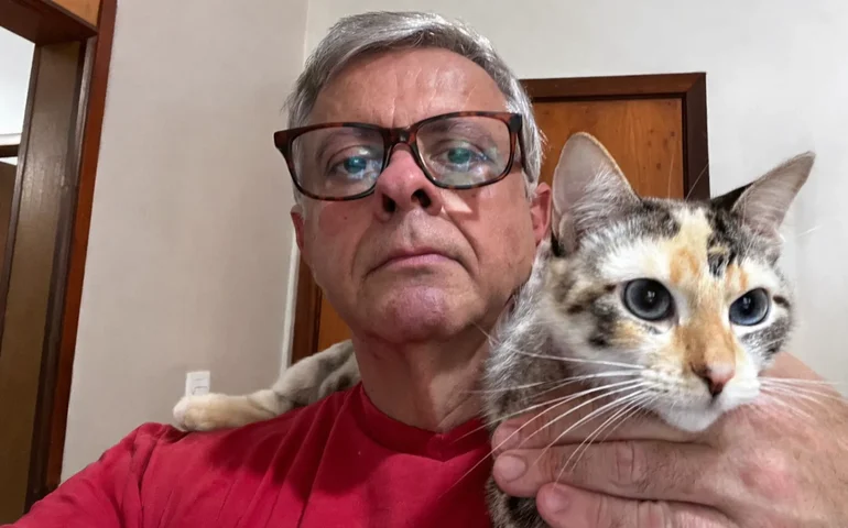 Dia Nacional do Animais: esporotricose avança e pressiona cidades, mas ciência aponta nova esperança para gatos e seus donos