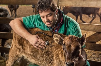 Curso de inspeção está aberto a veterinários municipais até 20 de junho 