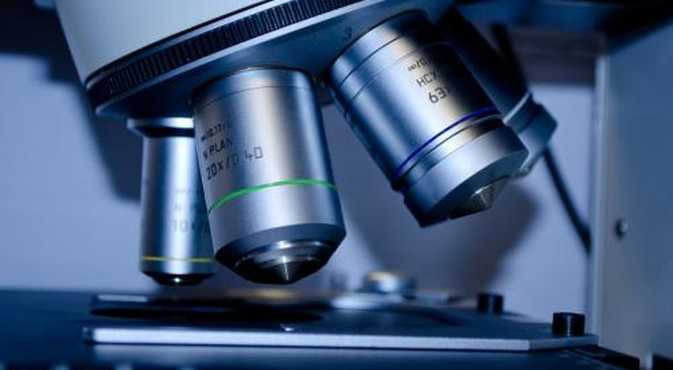 laboratorio HU