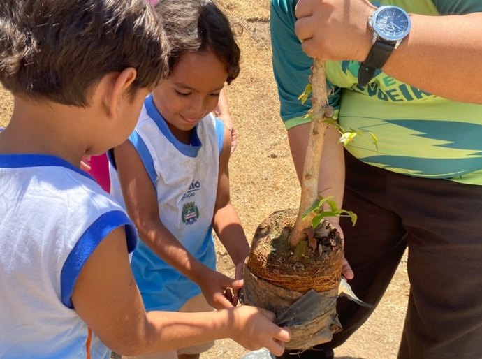 Projeto Arborizar é Massa realiza atividades sustentáveis e plantio de árvores com crianças do Flexal