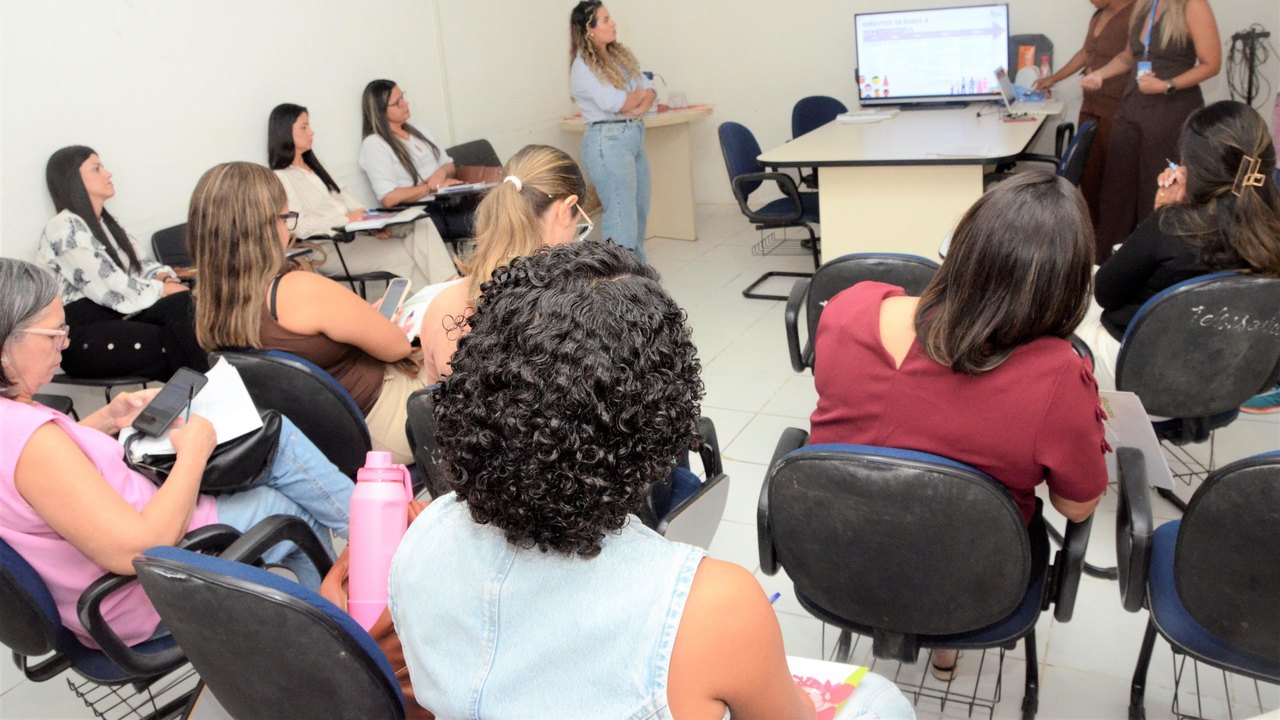Sesau e Secria promovem capacitação sobre inserção e retirada do DIU