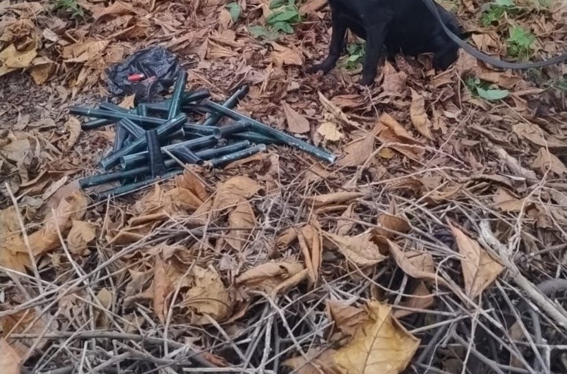 Operação Desarme: Polícia Militar apreende armas artesanais e munições em área de mata no Pontal da Barra