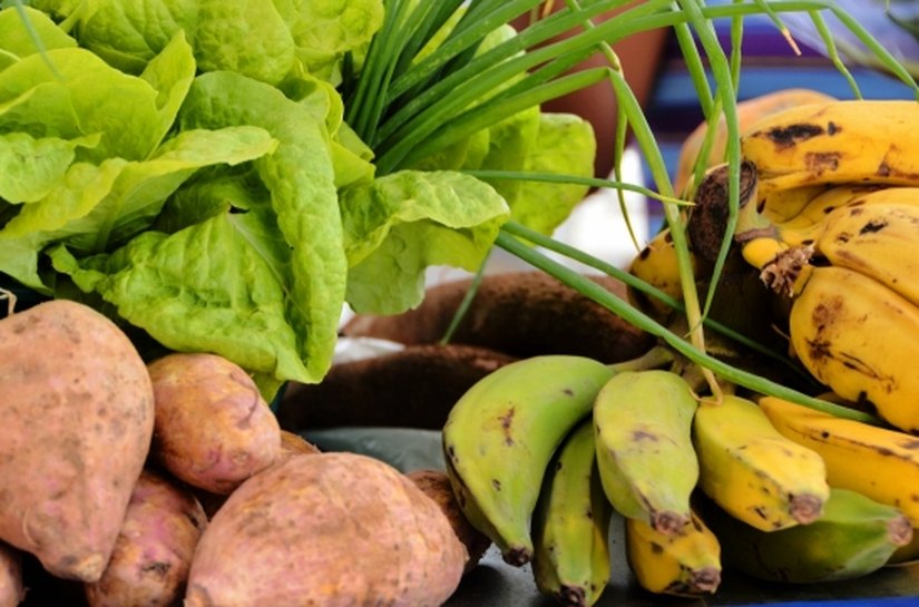 Secretaria de Saúde dissemina orientação sobre alimentação saudável