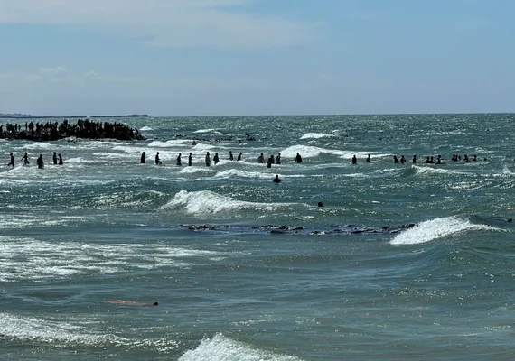 Palestinos se afogam ao tentar pegar ajuda humanitária que caiu no mar, diz Hamas