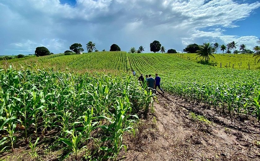 Assistência do governo Ronaldo Lopes ao agricultor melhora qualidade de vida no meio rural