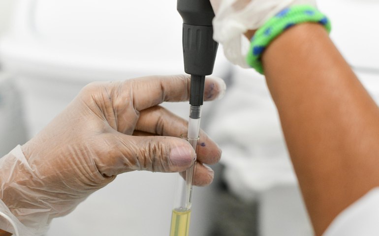 Trabalho de captação do Hemoal faz Alagoas chegar a quase 70 mil cadastrados para doação de medula óssea