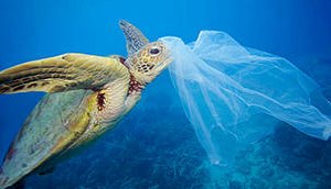 WWF TARTARUGA